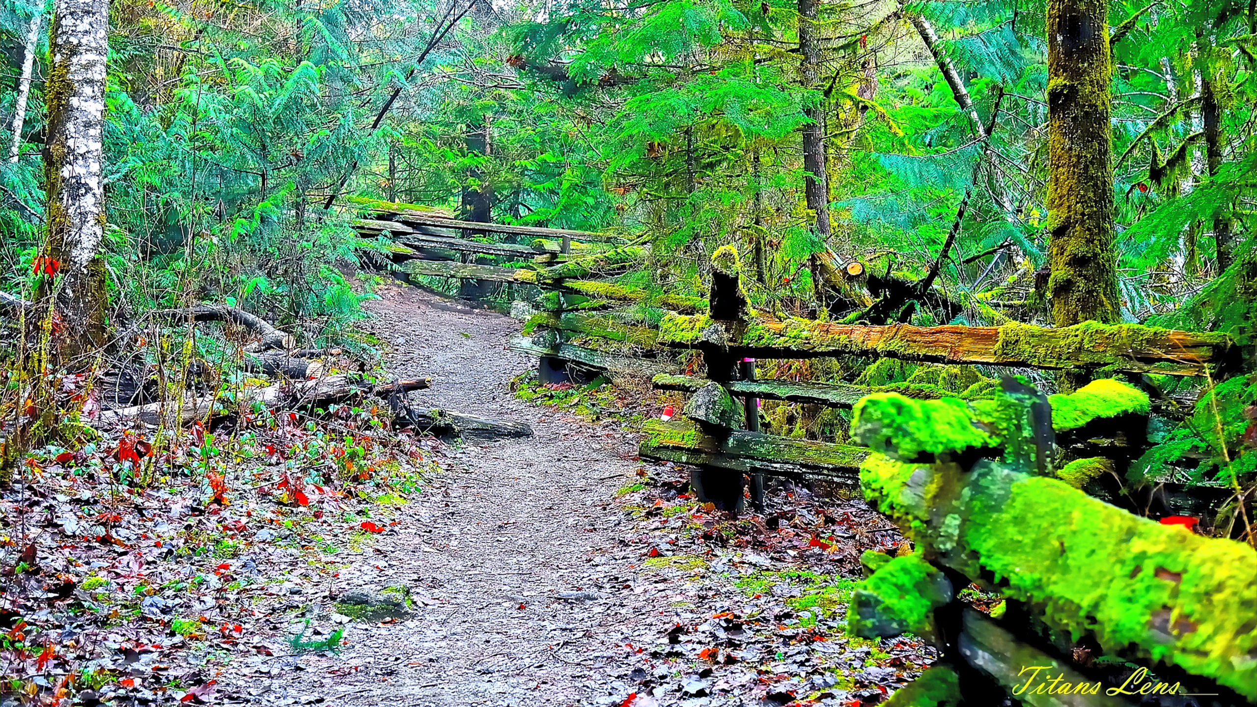 CAPearson Photography